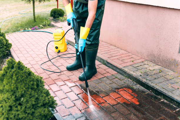 Professional Pressure washing in Bernice, LA